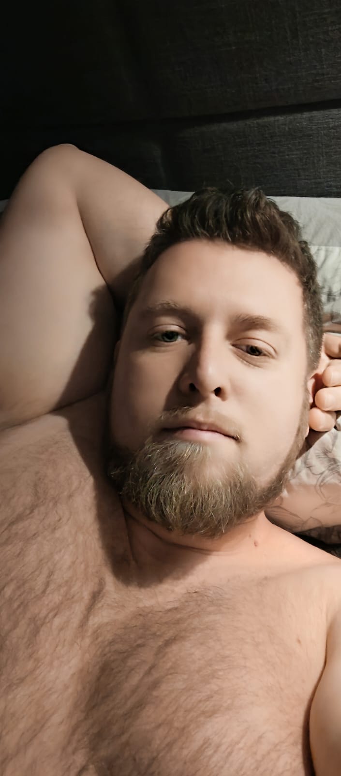 Profil de Zarko